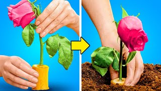 Easy Gardening Tricks And Tips And Cool Hacks For Growing Plants