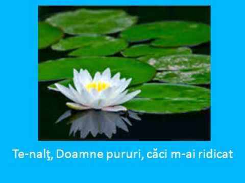 Te nalţ, Doamne pururi