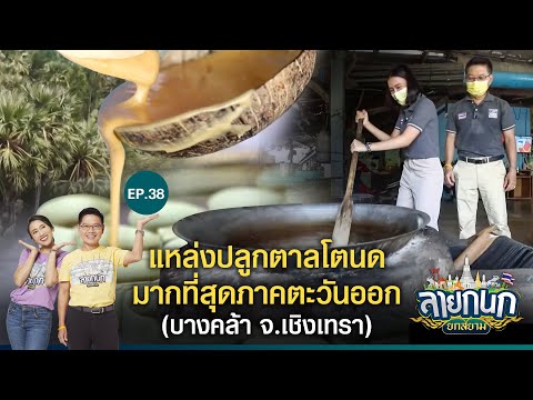 Fresh Palm Juice Village (Bang Khla)