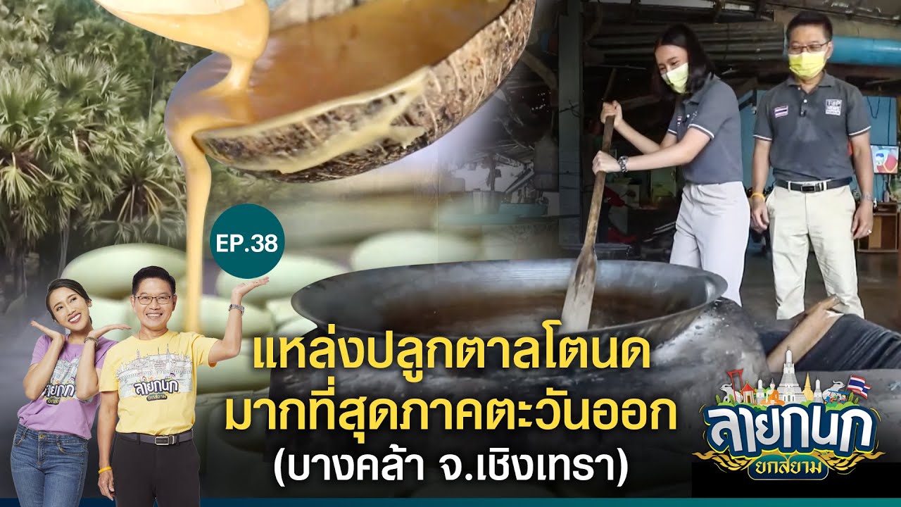 Fresh Palm Juice Village (Bang Khla)