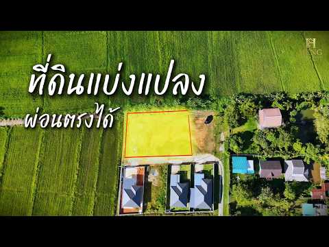 Chiangrai, Chiang Rai, Pa O Don Chai, Muang Chiang Rai, Chiang Rai, , 375 sqm, Land For Sale, by Tanapat Yamsai, 500618031 - DDproperty.com