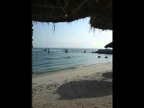 جزيرة فوك لاند