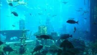 G.G. Anderson - Santa Lucia-Versunken im Meer.wmv