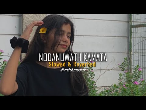 Nodanuwath Kamata | නොදැනුවත් කමට ( Slowed + Reverb )
