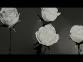 Maria Taylor feat. Conor Oberst - Sorry I Was Yours (Official Lyric Video)