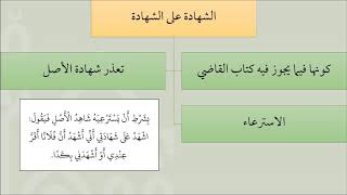 صورة 03شرح كتاب الشهادات من عمدة الفقه لابن قدامة   عامر بهجت