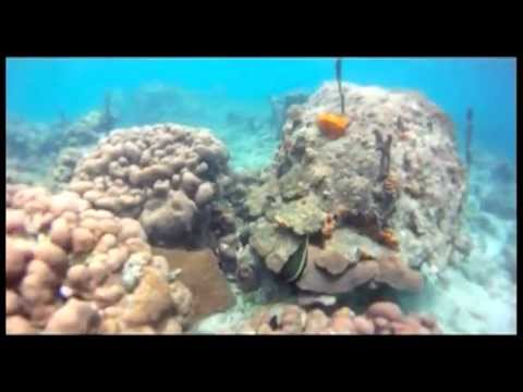 Alex B. Groove "so deep" (original mix)