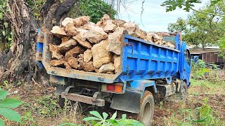 Download lagu Mobil Dump Truk Jungkit Muatan Batu Gunung mp3