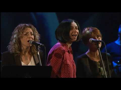 Wołosatki 1974 2019 - Na pięciolini życia