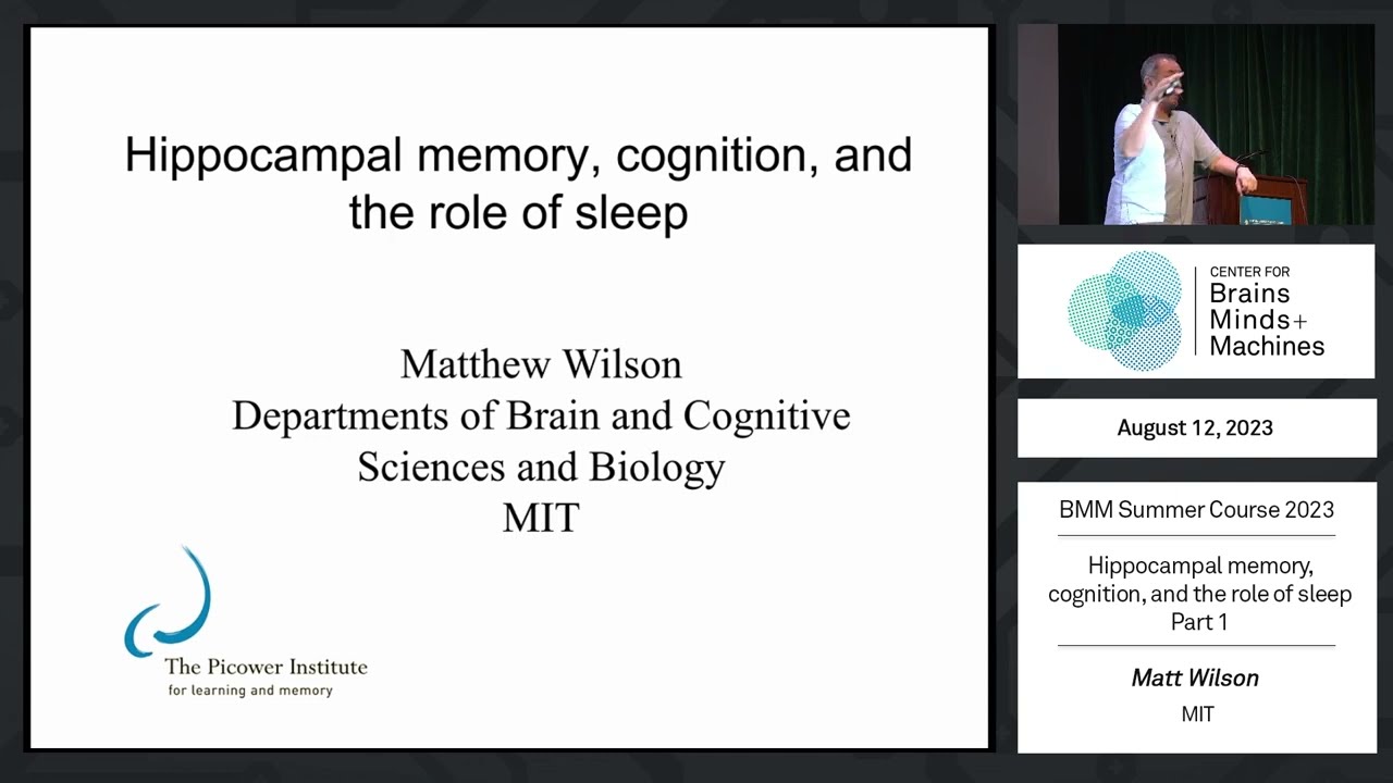 Hippocampal memory, cognition, and the role of sleep (part 1)