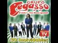 grupo pegasso yo comence la broma