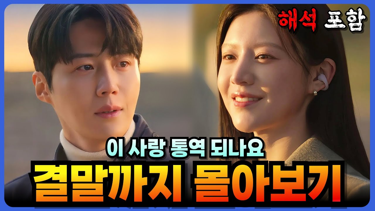 이 사랑 통역 되나요? 스토리댐 상세 분석