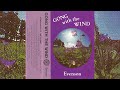 Evenson - Gong With The Wind [1985]