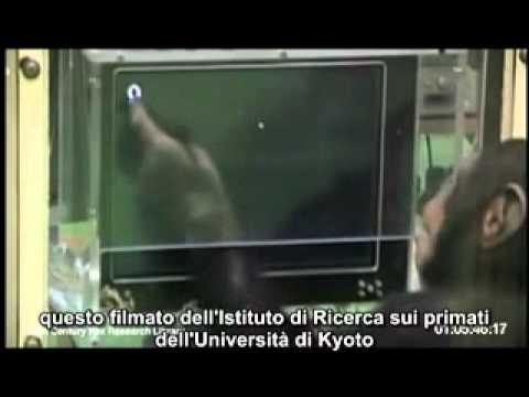 L'alba del pianeta delle scimmie - Test d'intelligenza