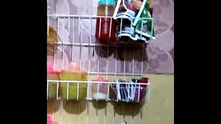 Download lagu Vid - Keren Banget! mp3 Download lagu Vid - Keren Banget! mp3
