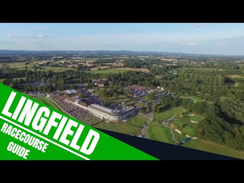 Lingfield Racecourse Guide | British Racecourse Review