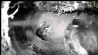 IJsvogel legt eerste ei voor de camera  Natuurkanaal 20130415