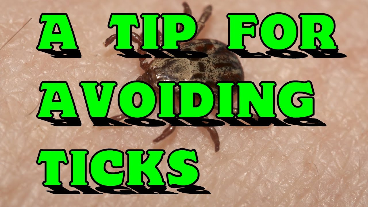 Ticks - A Quick Tip On Avoiding Them - YouTube