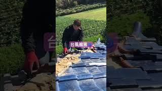 千葉県屋根工事