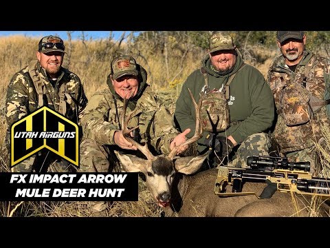 FX Impact Arrow Shooter Mule Deer Hunt | Utah Airguns