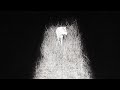 Zacari Homeless Official Audio
