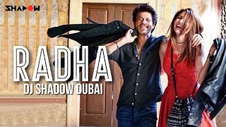 Radha Remix | DJ Shadow Dubai | Jab Harry Met Sejal