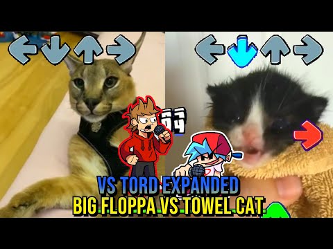 Sunshine Lollipops & Rainbows BUT Hecker VS Towel CAT - Friday Night Funkin' - VS Tord Expanded Mod