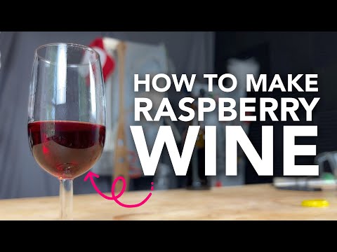 How to make Raspberry Wine | One gallon easy recipe start to finish - with a tasting!