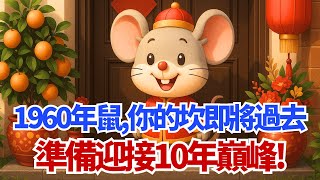 1960年的【鼠】，你人生『最大的一個坎』即將過去！準備迎接10年巔峰！#屬鼠 #1960年 #庚子鼠 #生肖運勢 #運程 #財運 #偏財運 #貴人 #轉運 #晚年運勢 #命理 #風水 #十年大運
