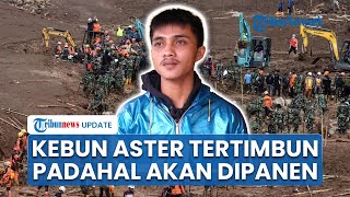 Kisah Hadiansyah: Kebun Bunga Aster yang Diterjang Longsor Cisarua, Tapi Rumah Berdiri Kokoh