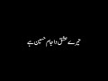 TU HASEEN TERA NAAM HASEEN HAI Alimusicband01 Black Screen Video Whatsapp Status