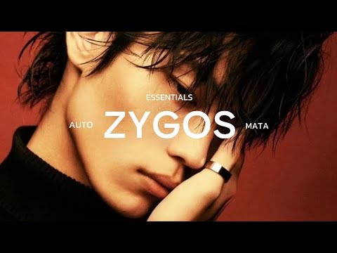 ESSENTIALS: Cheekbones/Zygos