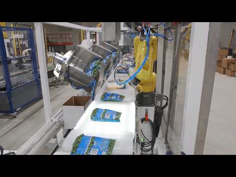 Robotic Quik Pick Case & Carton Packer Using Top Load Software | Quest