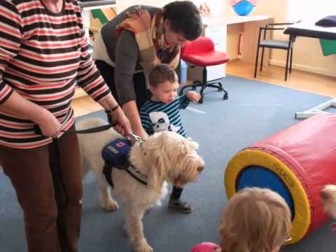 Canisterapia - Viťko chodí za pomoci psíka