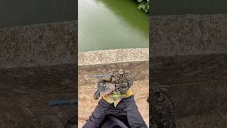 Pesquei uma garrucha muito antiga