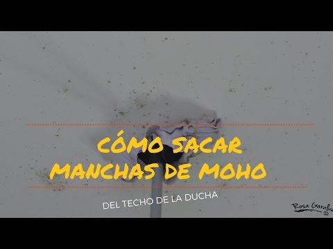 Cómo eliminar el moho del cuarto de ducha