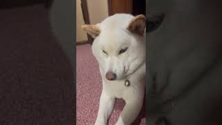 みる