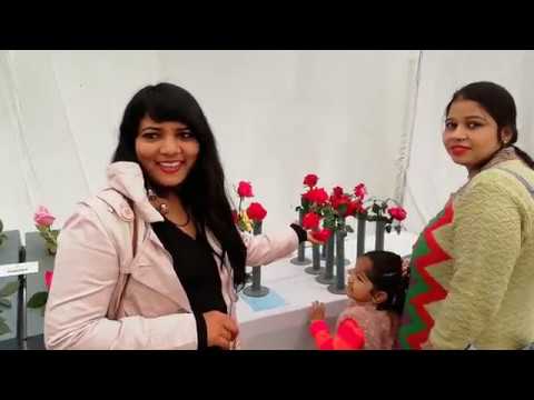 CSIR-NBRI Annual Flower Shows (Rose & Gladiolus)- 2019 : Vlogging with Vimla #Indian Vlogger