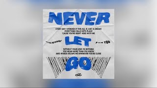 Download lagu ［歌詞 中字］Jungkook- Never let go  (中文歌詞） mp3
