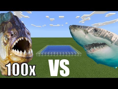 100 PIRANHAS vs WHITE SHARK in Minecraft PE