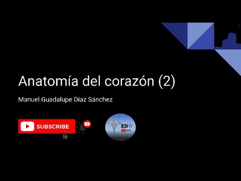 Anatomía del corazón 2: configuración interna