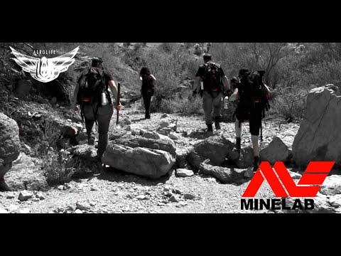 A Short Journey with Minelab
