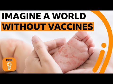 沒有疫苗的世界會是什麼樣子？| BBC創意 (What would a world without vaccines be like? | BBC Ideas)