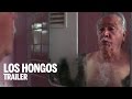 Ver Los hongos 2014 Pelicula Completa en español Latino Mega