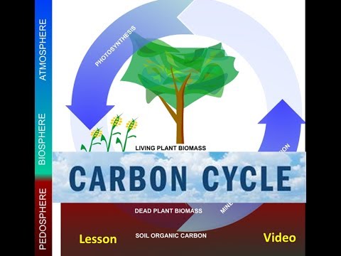 The Carbon Cycle \u0026 Global Warming Video -