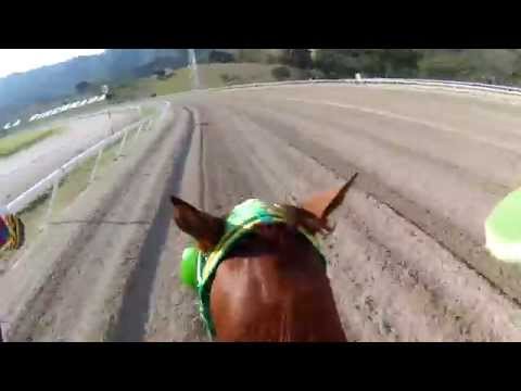 Copa Invitacional de Importados 2014 (Camara jinete)