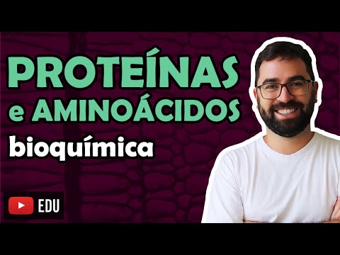Proteins and Amino Acids - Class 07 - Module I: Cellular Biology | Prof. Guilherme