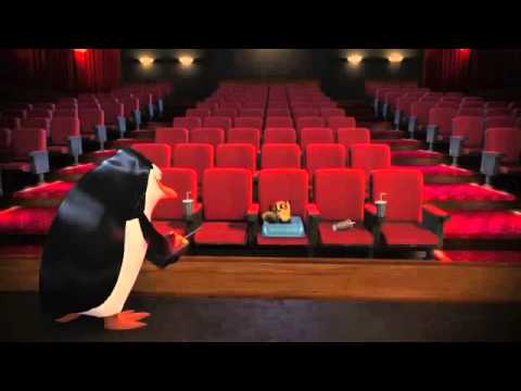 キングジュリアンってどんな動物?