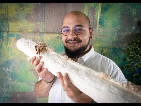 Sharing Stories from the Ray of Hope Prize: Ehab Sayed, Biohm