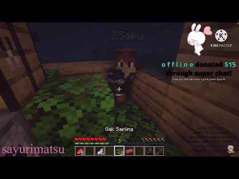 Saejin Gifts Saku With A Brick! ||Saejin and Saku Minecraft Livestream||